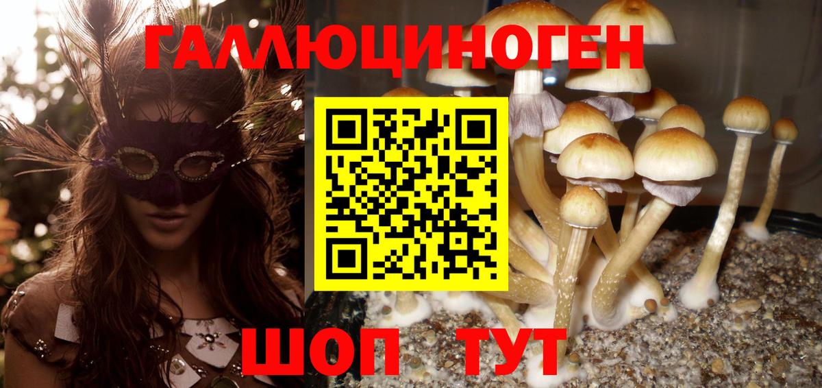 Псилоцибиновые грибы Magic Shrooms Кувандык