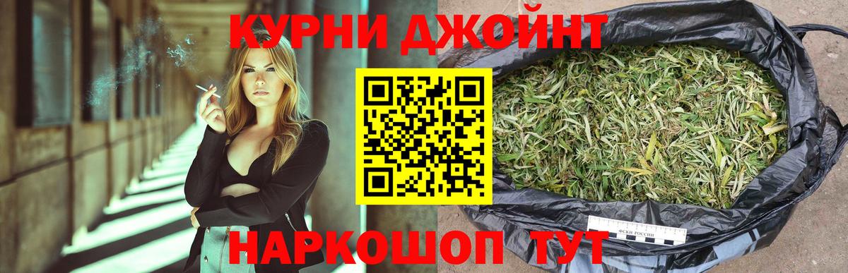 Марихуана сатива Кувандык
